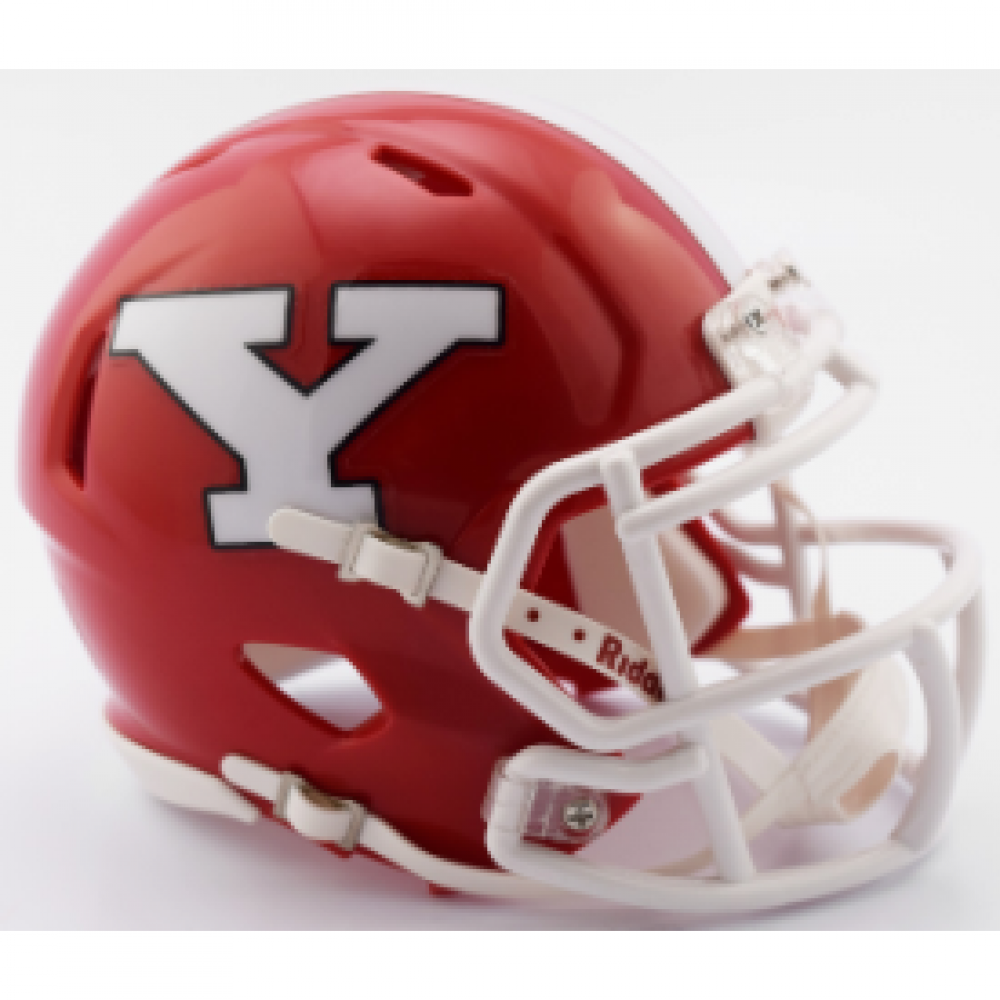 Riddell NCAA Youngstown St Penguins 2017 Speed Mini Football Helmet