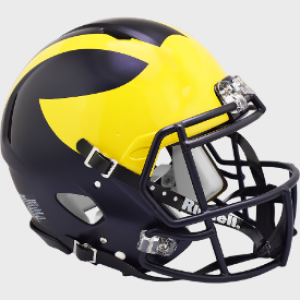 Michigan Wolverines Painted Wings 2020 Riddell Full Size Authentic Speed Helmet