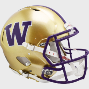Washington Huskies Riddell Full Size Authentic Speed Helmet New 2023