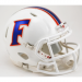 Florida Gators Chrome Decals Revolution Speed Mini Helmet