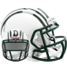 Dartmouth Big Green Riddell Mini Speed Helmet New 2025