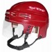 Detroit Red Wings Home Authentic Mini Helmet